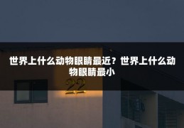 世界上什么动物眼睛最近？世界上什么动物眼睛最小