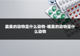 最臭的动物是什么动物-嘴臭的动物是什么动物