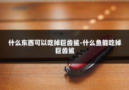 什么东西可以吃掉巨齿鲨-什么鱼能吃掉巨齿鲨