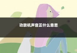 功放机声音正什么意思