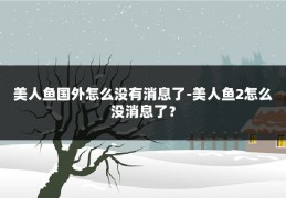 美人鱼国外怎么没有消息了-美人鱼2怎么没消息了？