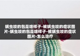 螨虫咬的包是啥样子-被螨虫咬的症状图片-螨虫咬的包是啥样子-被螨虫咬的症状图片-怎么治疗