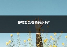 番号怎么看骑兵步兵？