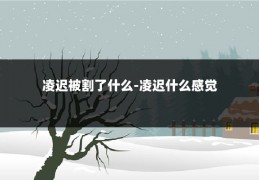 凌迟被割了什么-凌迟什么感觉