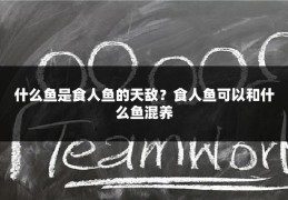 什么鱼是食人鱼的天敌？食人鱼可以和什么鱼混养