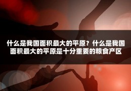 什么是我国面积最大的平原？什么是我国面积最大的平原是十分重要的粮食产区