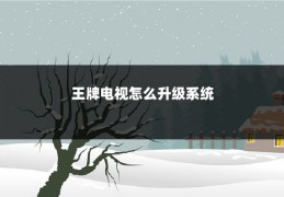 王牌电视怎么升级系统