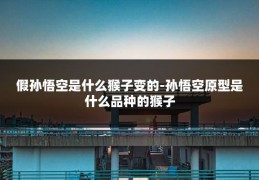 假孙悟空是什么猴子变的-孙悟空原型是什么品种的猴子