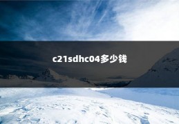 c21sdhc04多少钱