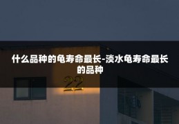 什么品种的龟寿命最长-淡水龟寿命最长的品种