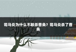 司马炎为什么不敢杀曹奂？司马炎杀了曹奂