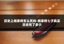 历史上杨家将怎么死的-杨家将七子真实历史死了多少