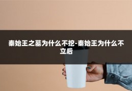 秦始王之墓为什么不挖-秦始王为什么不立后