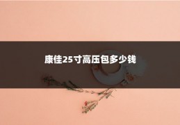 康佳25寸高压包多少钱