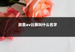 欧美av比赛叫什么名字