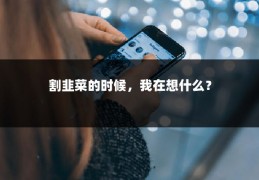 割韭菜的时候，我在想什么？