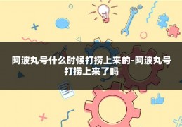 阿波丸号什么时候打捞上来的-阿波丸号打捞上来了吗