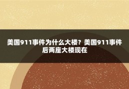 美国911事件为什么大楼？美国911事件后两座大楼现在