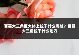 百慕大三角区大体上位于什么海域？百慕大三角位于什么地方