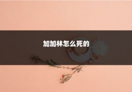 加加林怎么死的