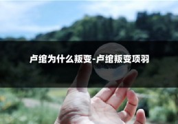 卢绾为什么叛变-卢绾叛变项羽