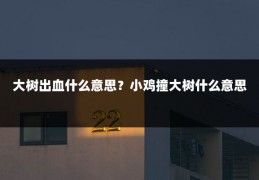 大树出血什么意思？小鸡撞大树什么意思