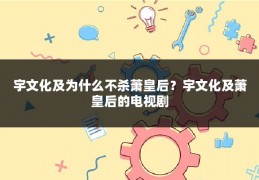 宇文化及为什么不杀萧皇后？宇文化及萧皇后的电视剧