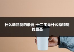 什么动物爬的最高-十二生肖什么动物爬的最高