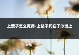 上辈子怎么死得-上辈子死在了沙滩上