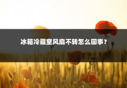 冰箱冷藏室风扇不转怎么回事？