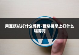 用豆浆机打什么养胃-豆浆机早上打什么喝养胃