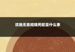 坟地无意间烧死蛇是什么事