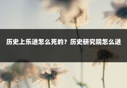 历史上乐进怎么死的？历史研究院怎么进