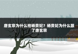 唐玄宗为什么抢杨贵妃？杨贵妃为什么跟了唐玄宗