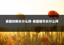 泰国的鹅长什么样-泰国硬币长什么样