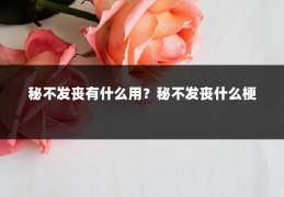 秘不发丧有什么用？秘不发丧什么梗