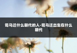 司马迁什么朝代的人-司马迁出生在什么朝代