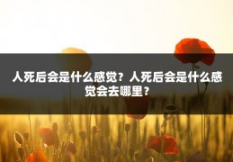 人死后会是什么感觉？人死后会是什么感觉会去哪里？