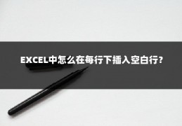 EXCEL中怎么在每行下插入空白行？