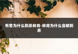 布思为什么刺杀林肯-林肯为什么会被刺杀