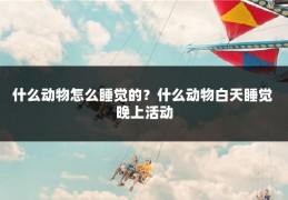 什么动物怎么睡觉的？什么动物白天睡觉 晚上活动