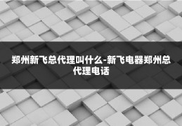 郑州新飞总代理叫什么-新飞电器郑州总代理电话