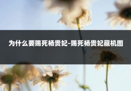 为什么要赐死杨贵妃-赐死杨贵妃藏机图