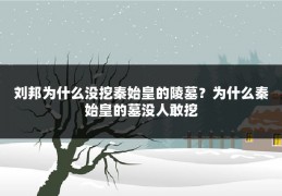 刘邦为什么没挖秦始皇的陵墓？为什么秦始皇的墓没人敢挖