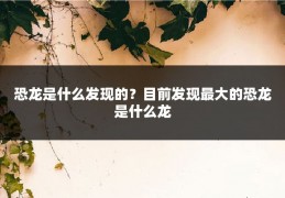 恐龙是什么发现的？目前发现最大的恐龙是什么龙