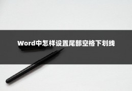 Word中怎样设置尾部空格下划线