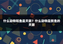 什么动物和鱼是天敌？什么动物是鳄鱼的天敌