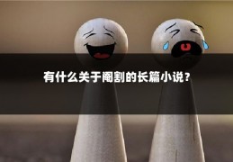 有什么关于阉割的长篇小说？