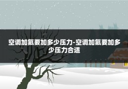 空调加氟要加多少压力-空调加氟要加多少压力合适