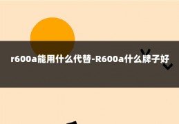 r600a能用什么代替-R600a什么牌子好